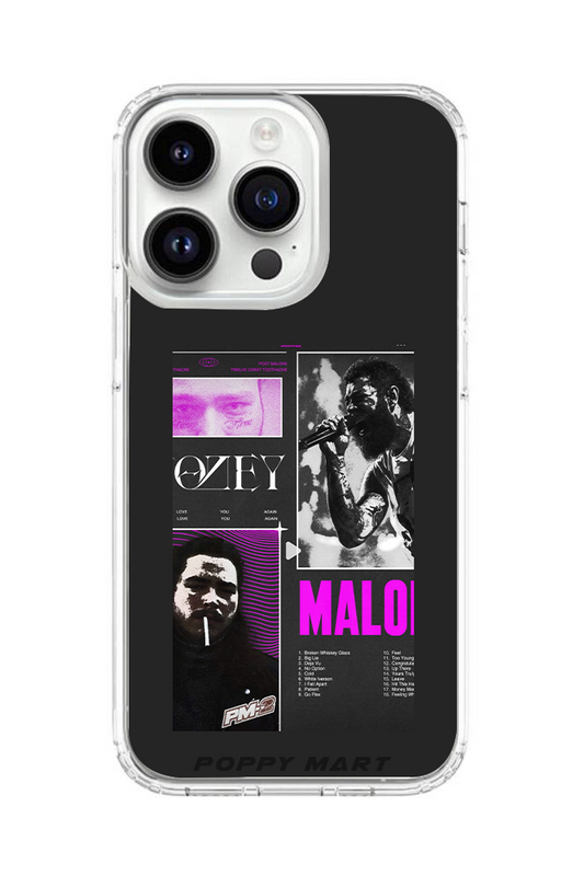 Post Malone Soundwave Styles Glass Cases || POST-GC-013